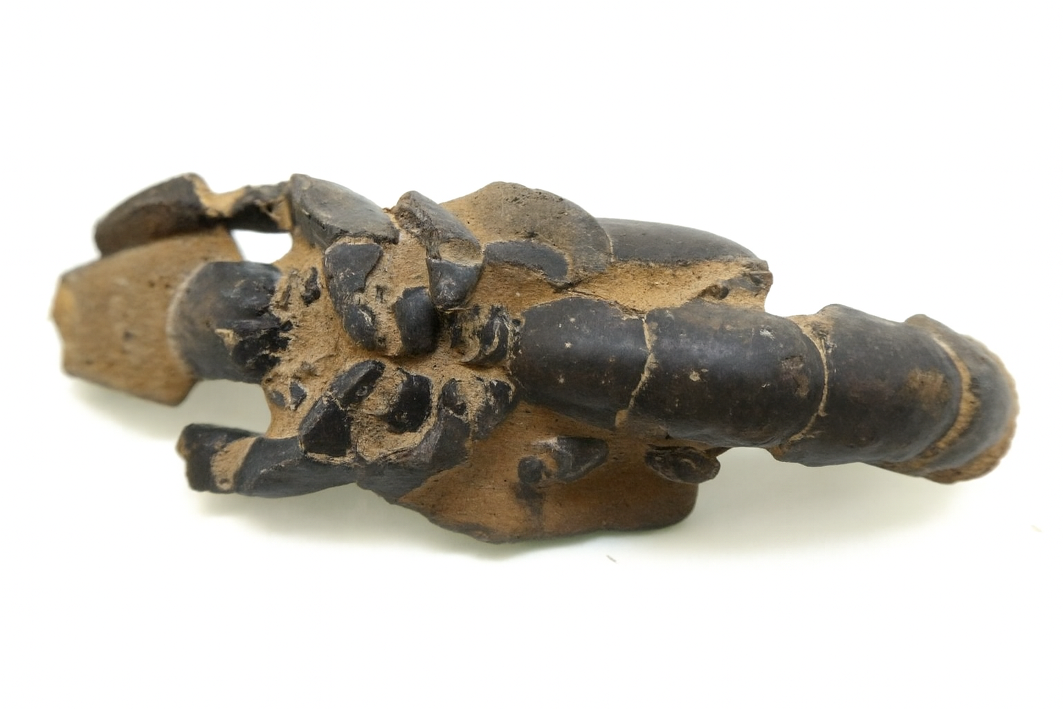 Mud Lobster