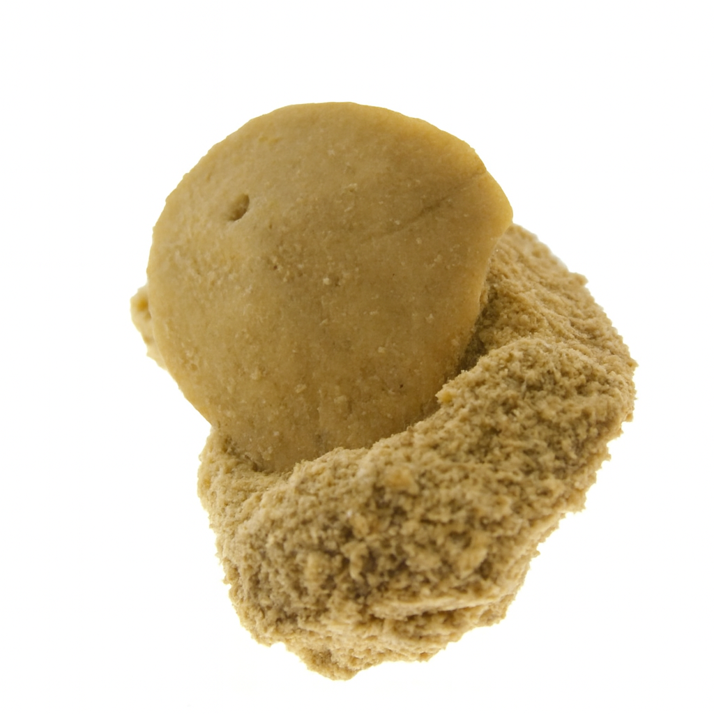 Monostychia australis.