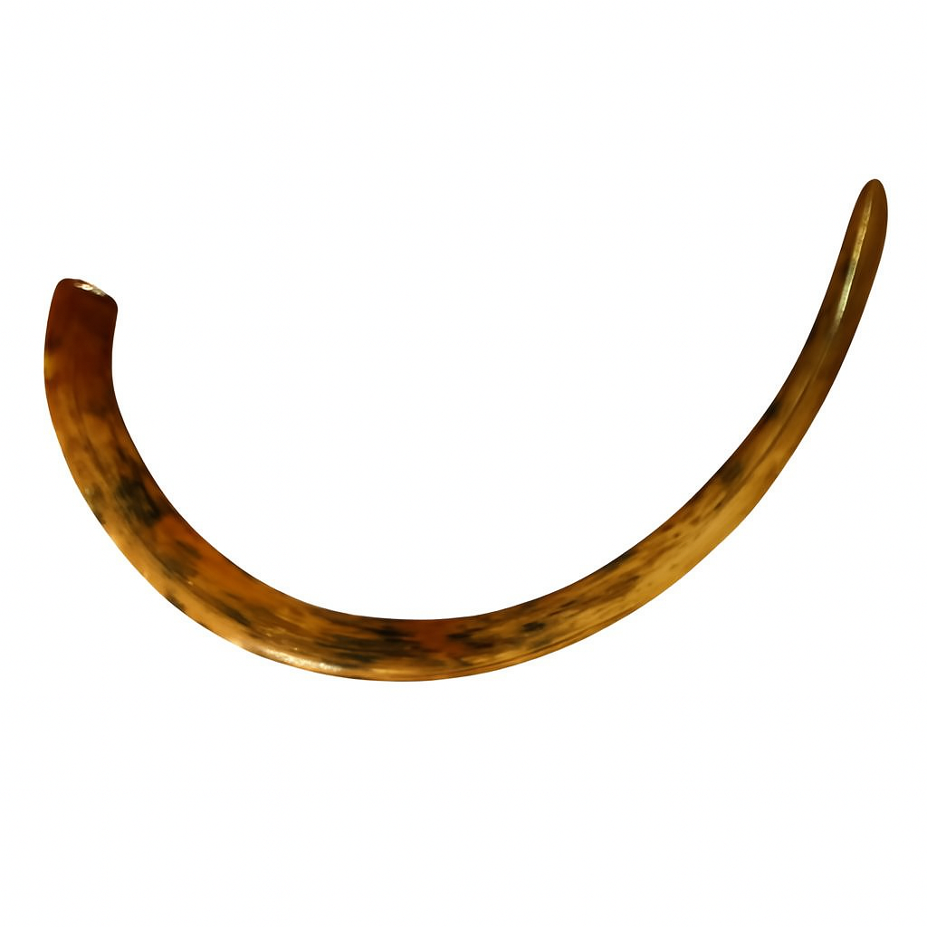 Mammoth Tusk.