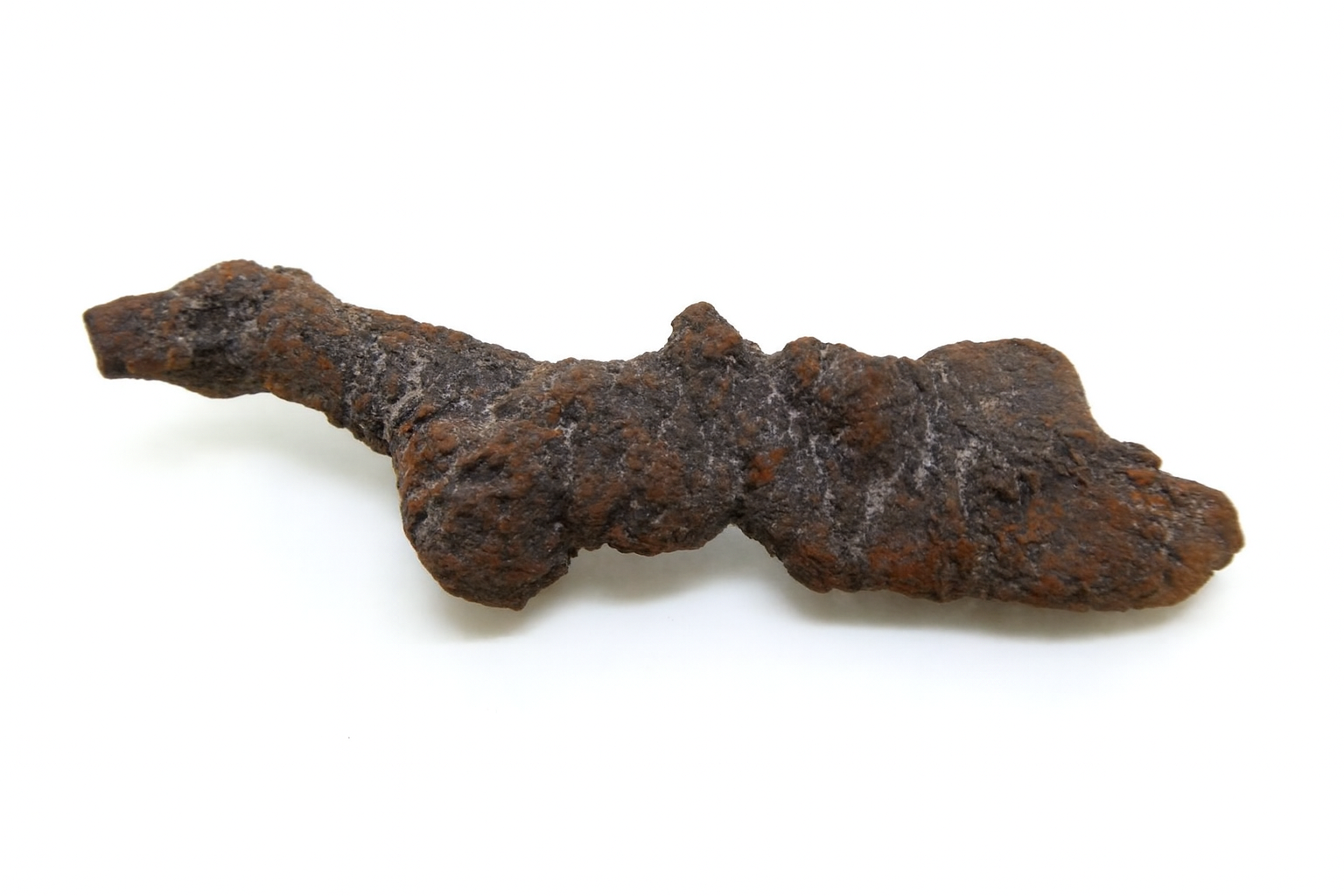 Coprolites.
