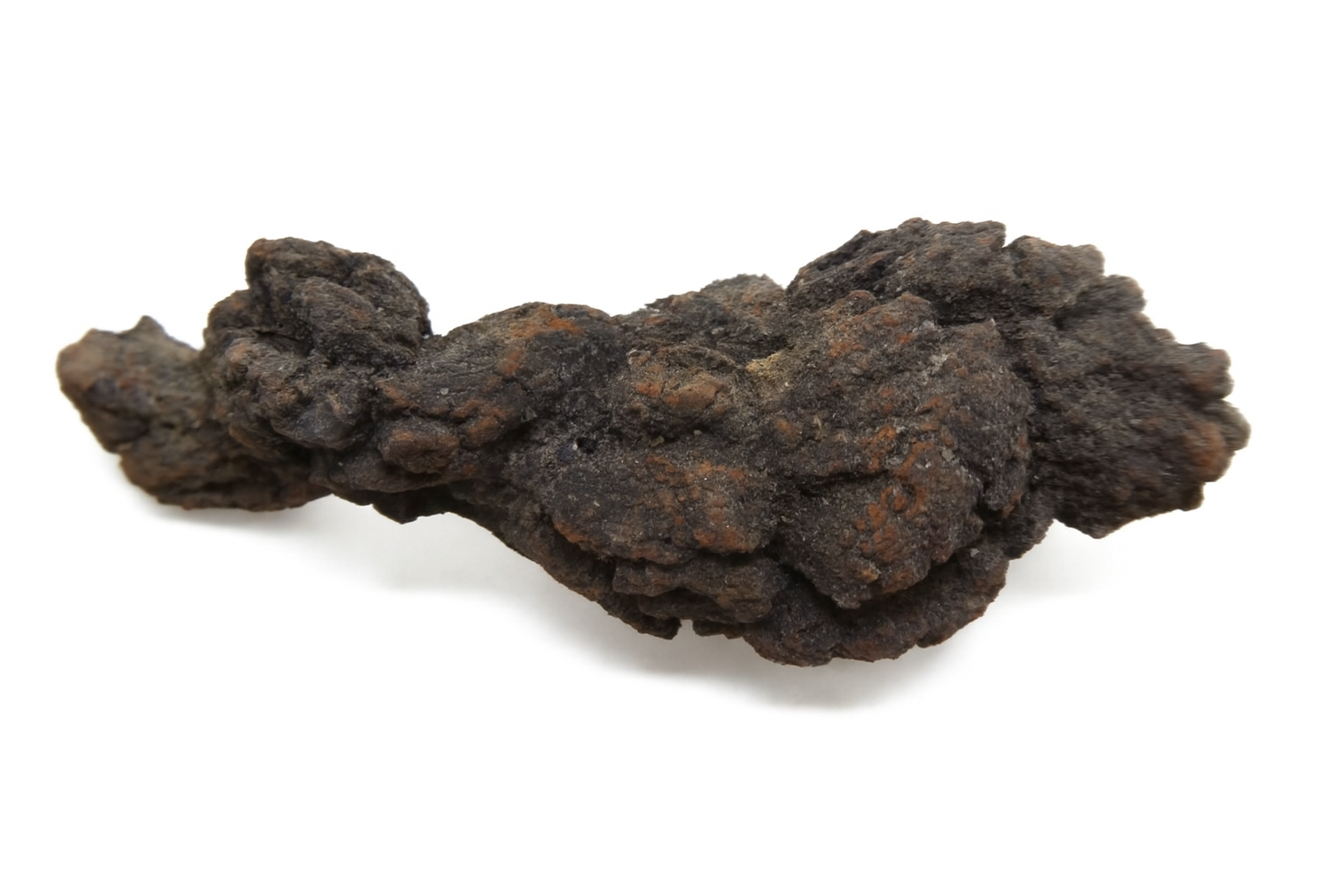 Coprolites.