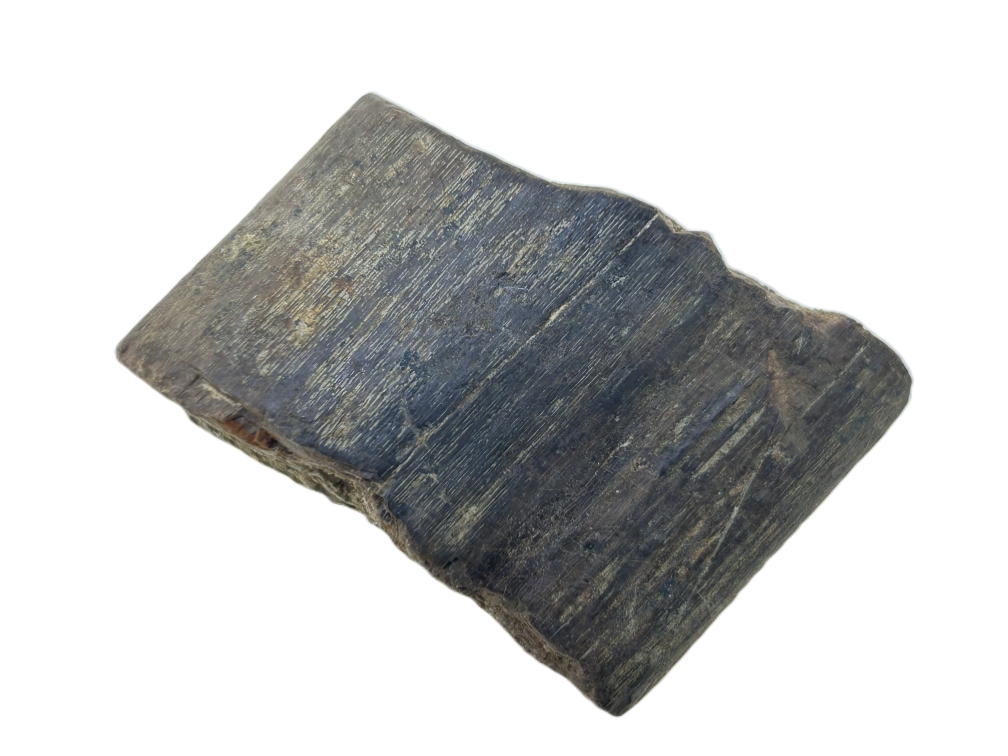 Sauropod Bone.