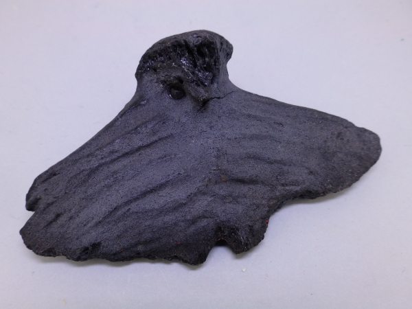 Unidentified vertebrae