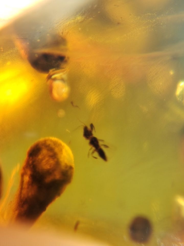Amber.