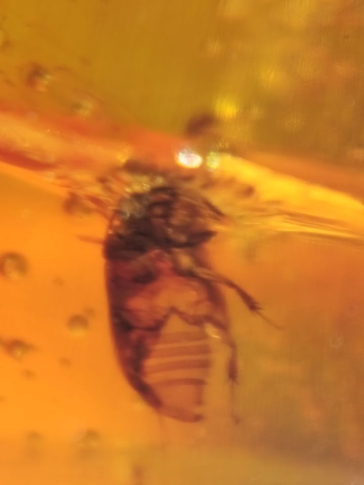 Amber.
