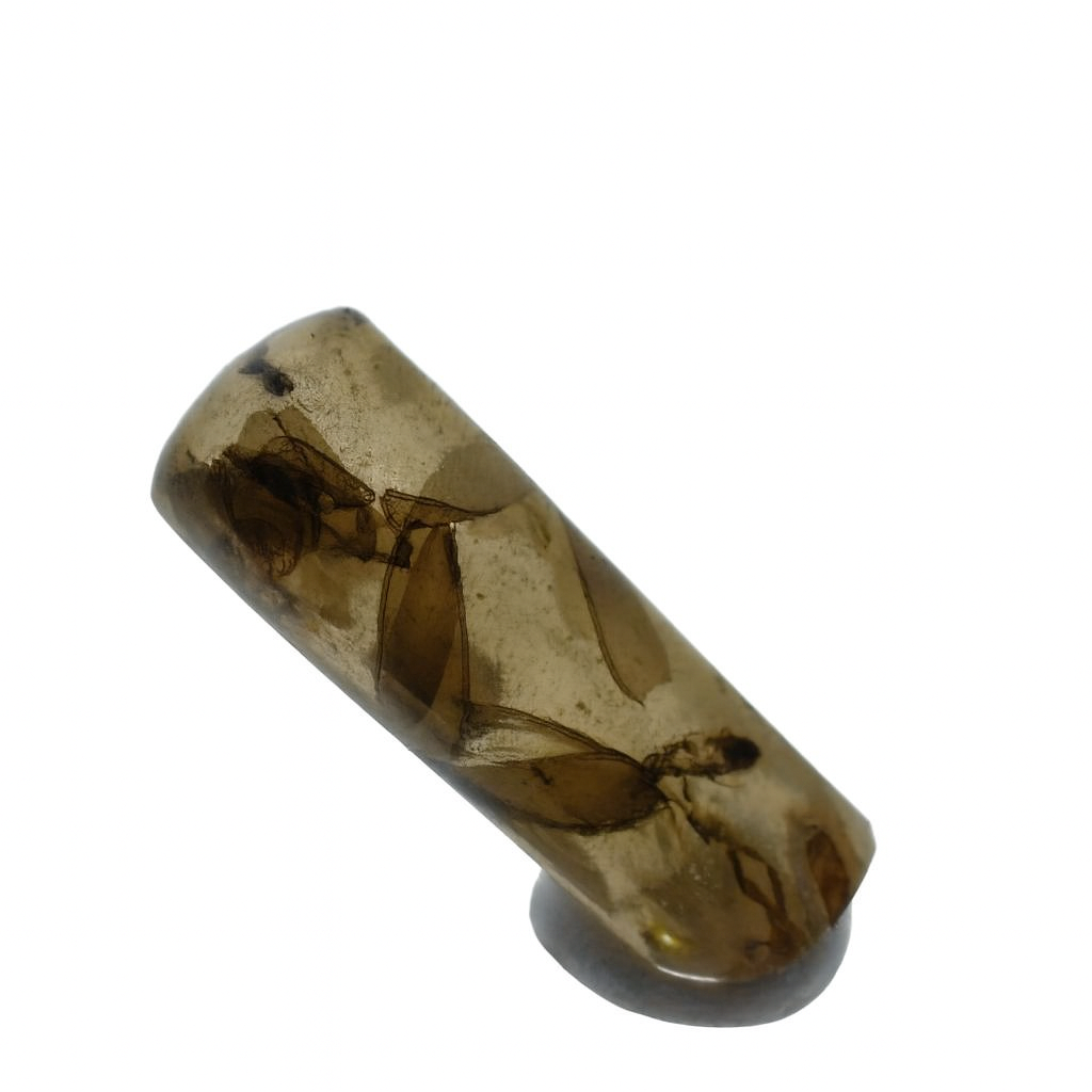 $50 Colombian Amber