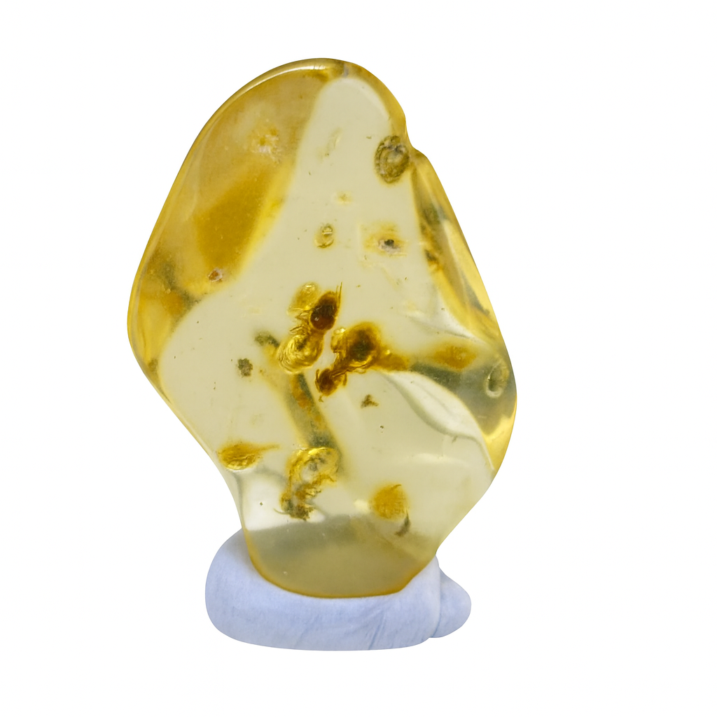 $45 Colombian Amber