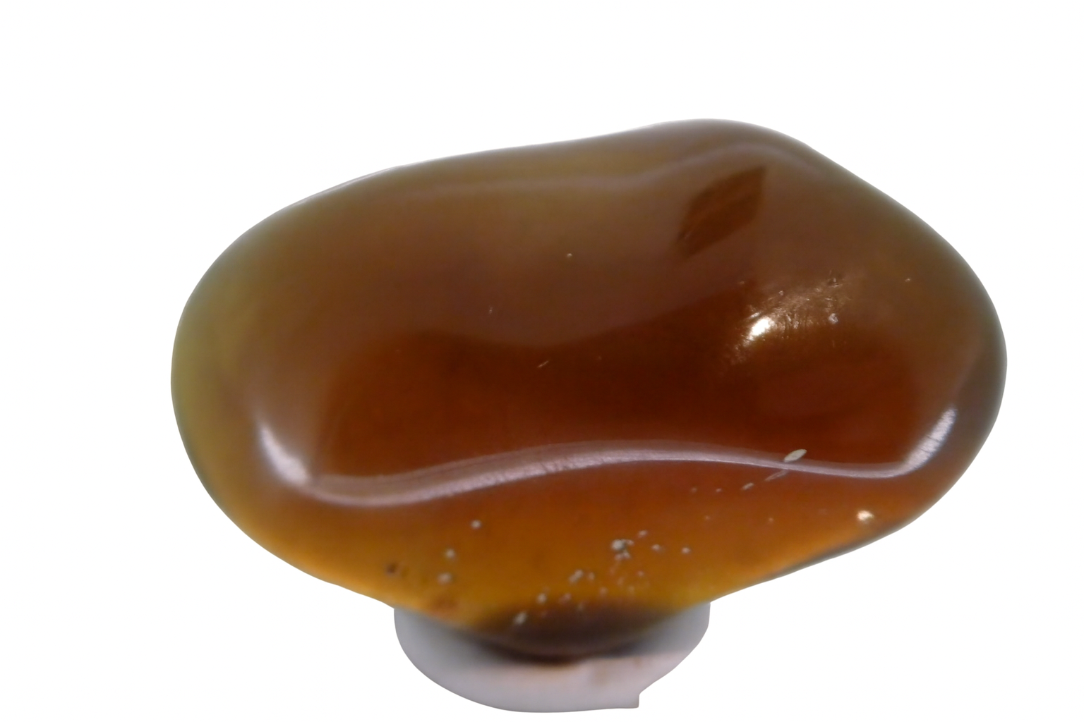 Fluorescent Blue Amber.