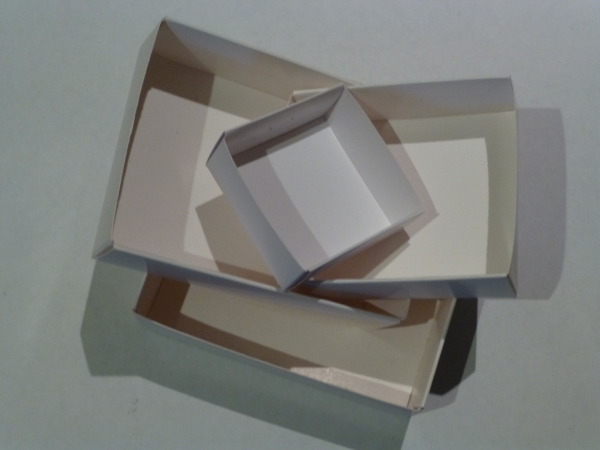 Fold-up specimen boxes