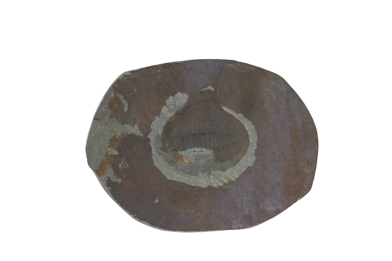 Ogyginus cordensis.